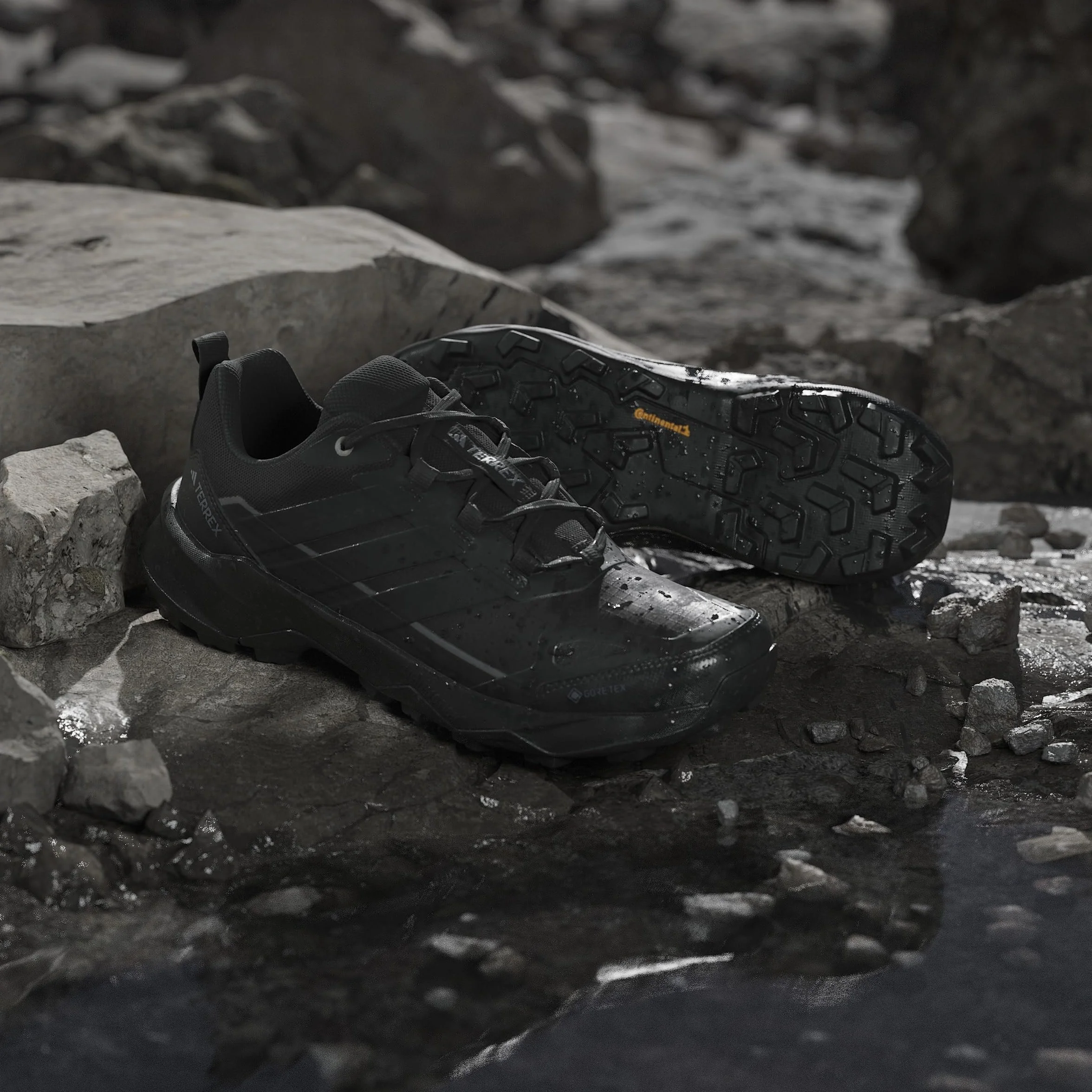 adidas Terrex Skychaser AX5 GTX BLACAR/Owhite/WONALU