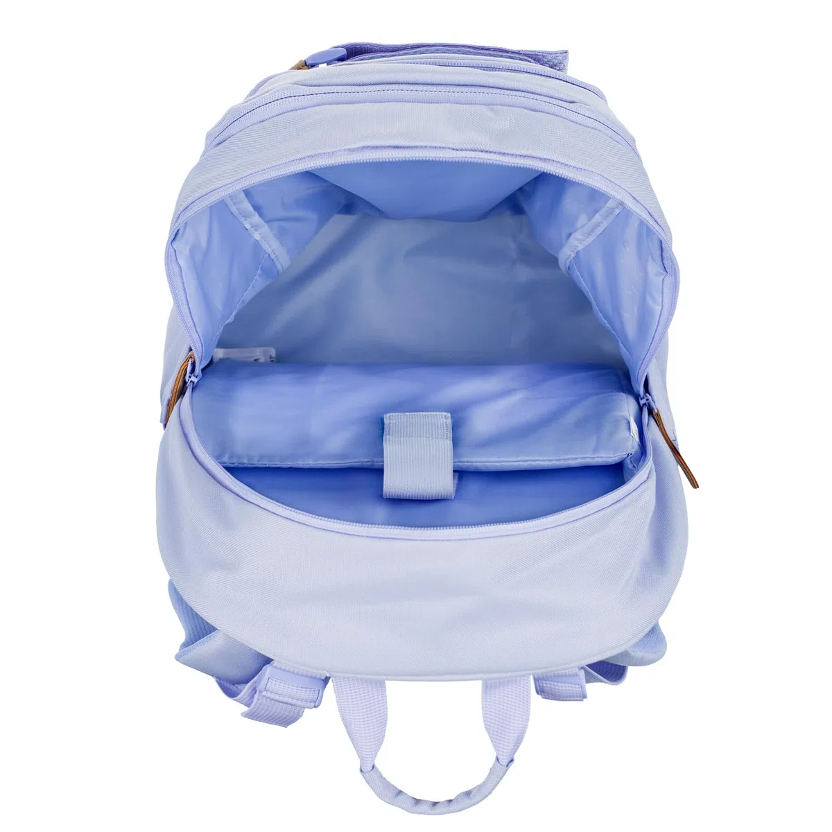 Baagl Schulrucksack für Jungen Mädchen Teenager - Skateboard Rucksack - Kinderrucksack mit Laptopfach und Brustgurt für Schule, Weiterführendeschule, Mittelschule